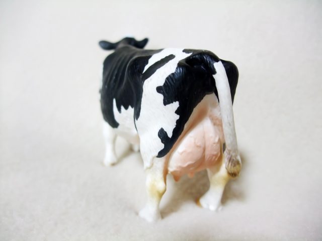 新宿に牛？東京の畜産物と搾乳体験を楽しもう！！