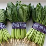 東京産野菜 学校給食応援即売会