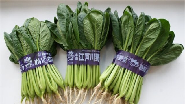 東京産野菜 学校給食応援即売会