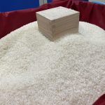 新潟米フェア 2025 ～新潟の新米大集合！～