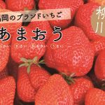 春の柳川　魅惑のあまおうと極上福岡有明のりフェア