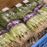 コロナに負けるな！葛飾産の元気野菜を食べて応援キャンペーン