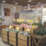 「東京の里山」町田市から新鮮野菜をお届けします！