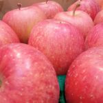 東北再発見マルシェ