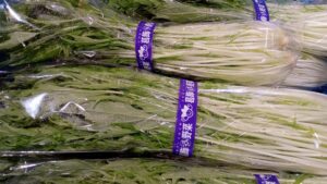 東京野菜フェア