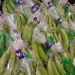 東京野菜フェア