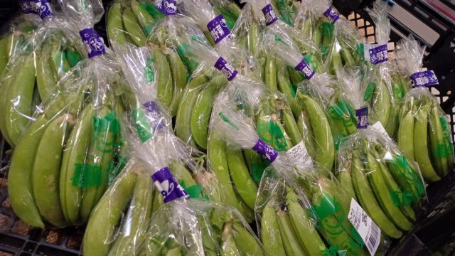 東京野菜フェア