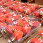 新潟県・十日町市＆宮崎県・都城市　初夏の美味いもんフェスタ