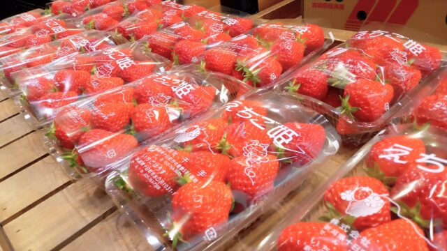 新潟県・十日町市＆宮崎県・都城市　初夏の美味いもんフェスタ