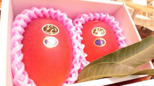 宮崎産完熟マンゴーと旬の野菜　即売会