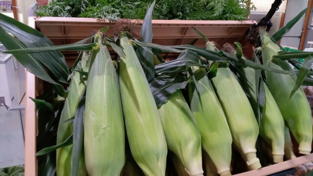 太陽の街八王子がおとどけする　農産物フェア！