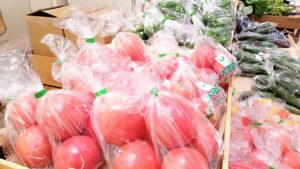 大田区フェア~100%!✨Pure Ota✨!~「羽田空港だけじゃない!あなたの知らない大田区がそこにはある!