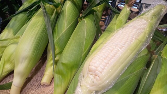 秋川渓谷恵みフェスタ