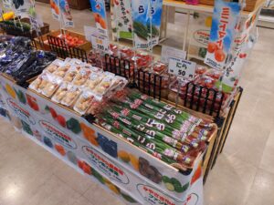 宮崎産完熟マンゴーと旬の野菜　即売会