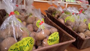 【松永産】　5/23収穫分　青梅　15kg 松永産】 5/23収穫分 青梅 15kg 食品