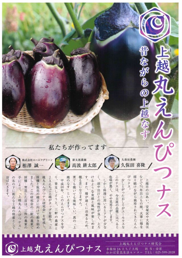 ナス祭り(上越丸えんぴつなす）