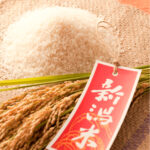 新潟米フェア 2025 ~新潟の新米大集合!~