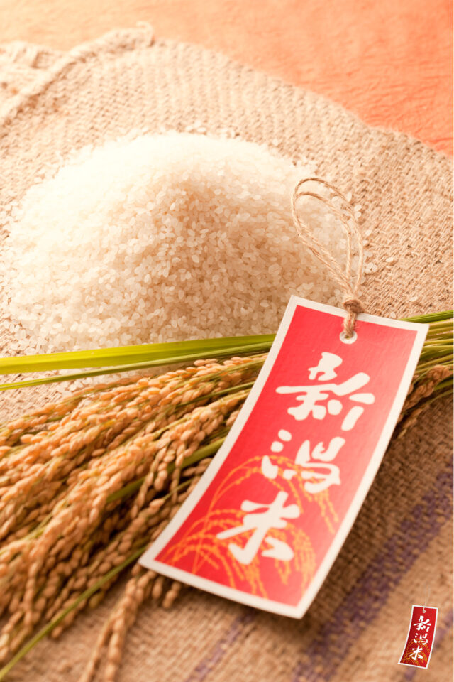 新潟米フェア 2025 ～新潟の新米大集合！～