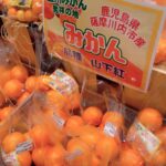 鹿児島県フェア