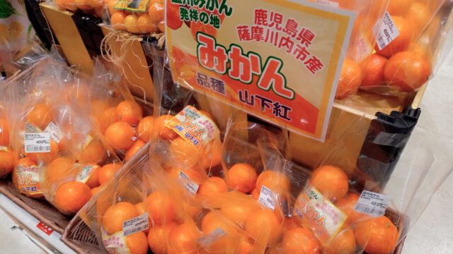 鹿児島県フェア