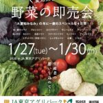 JA愛知みなみ　野菜の即売会